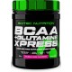 Scitec BCAA + Glutamine Xpress 300g